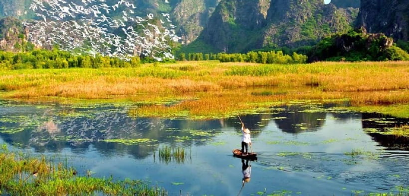 Ninh Binh : Cuc Phuong National Park One Day Group Tour - Key points to know before booking