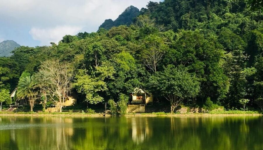 Ninh Binh : Cuc Phuong National Park One Day Group Tour - Guides, group travel, and the pace of the day