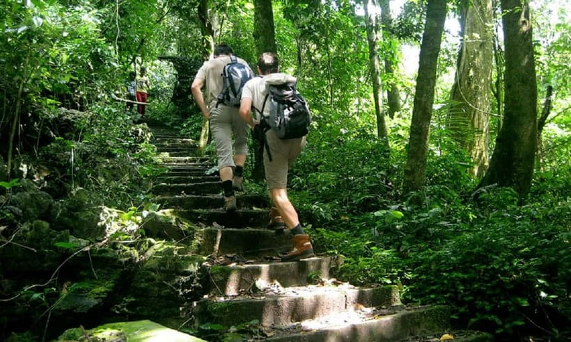 Ninh Binh : Cuc Phuong National Park One Day Group Tour - Why Cuc Phuong makes a good day trip from Ninh Binh