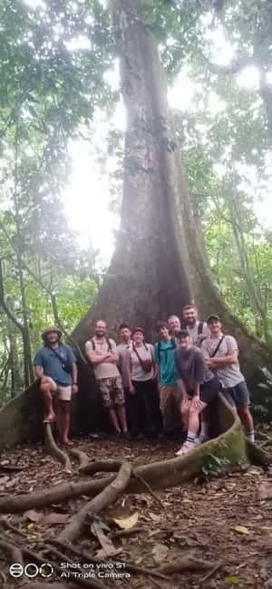 Ninh Binh : Cuc Phuong National Park One Day Group Tour - The 20-kilometer drive into primary forest