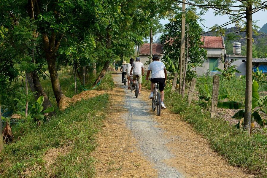 Ninh Binh Daily: Hoa Lu, Mua Cave, Tam Coc, Bike & Swimming - Who will enjoy this day most