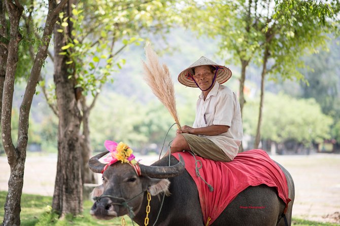 Ninh Binh Daily Tour: Hoa Lu - Tam Coc boat trip and Bike - Cycling through the Hoa Lu countryside