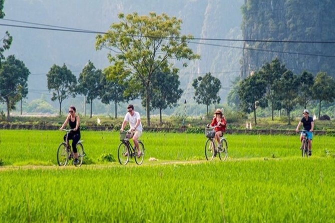 Ninh Binh Day Tour to Hoa Lu Trang An Mua Cave with Buffet Lunch - The pace, comfort, and practical preparation