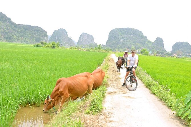 Ninh Binh Full-Day Small Group of 9 Guided Tour from Hanoi - Flat-country cycling beside limestone peaks