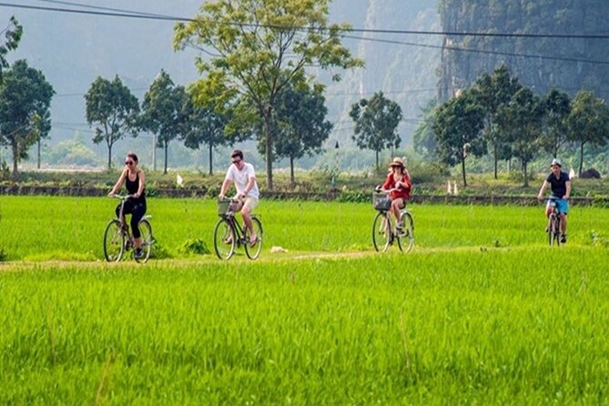 Ninh Binh Full Day Tour to Hoa Lu Tam Coc Mua Cave Buffet Lunch - Mua Cave and the climb to Lying Dragon Mountain