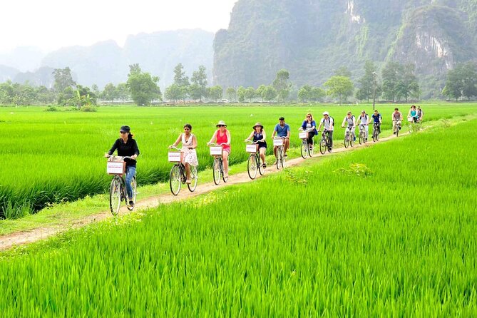 Ninh Binh Full Day Tour with Hoa Lu, Tam Coc and Mua Cave - Mua Cave rewards the 500-step climb