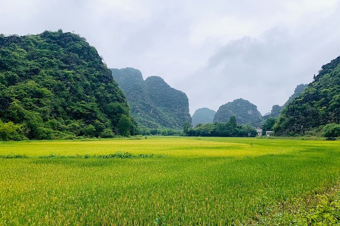 Ninh Binh Full Day Trip From Hanoi To Hoa Lu, Trang An, Mua Cave - Buffet lunch and the middle of the day