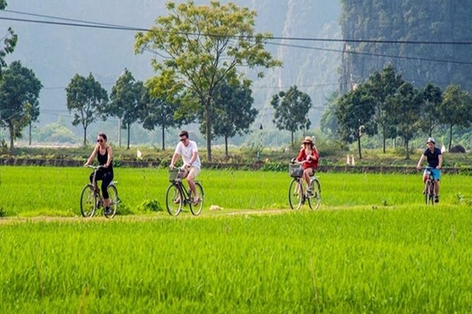 Ninh Binh Full-Day Trip to Trang An Mua Cave Hoa Lu Buffet Lunch - Transport is comfortable, but the day is still long