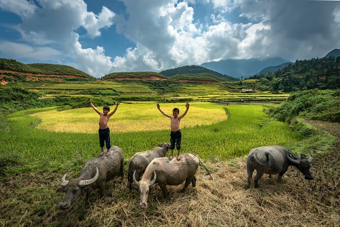 Ninh Binh Group Tour of 11 from Hanoi via Mua Cave Tam Coc Hoa Lu - Sampan boating through Tam Coc