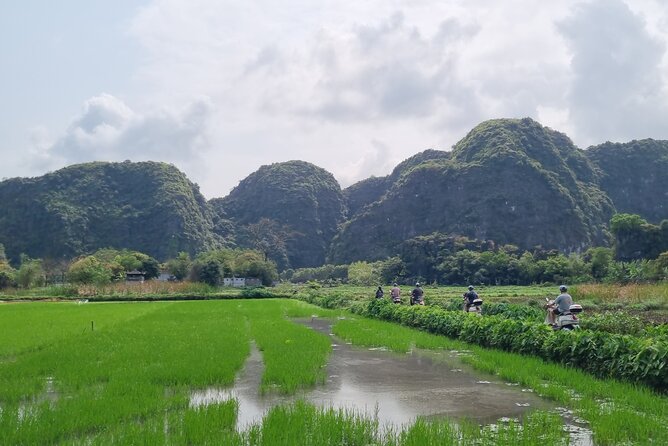 Ninh Binh HIGHTLIGHT & HIDDEN GEM Tour From Hanoi: Skip-The-Line - Hoa Lu and Vietnam’s ancient capital