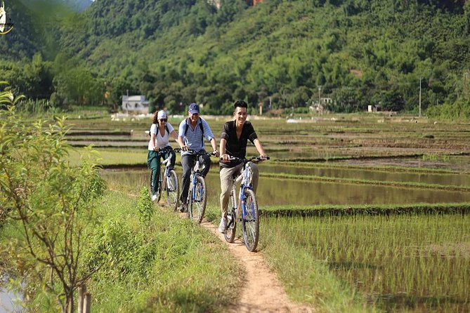 NINH BINH MEMORABLE DAY: Hoa Lu, Mua Cave, boat trip Tam Coc, Trang An optional - Bai Dinh Pagoda: an impressive option with a scheduling problem