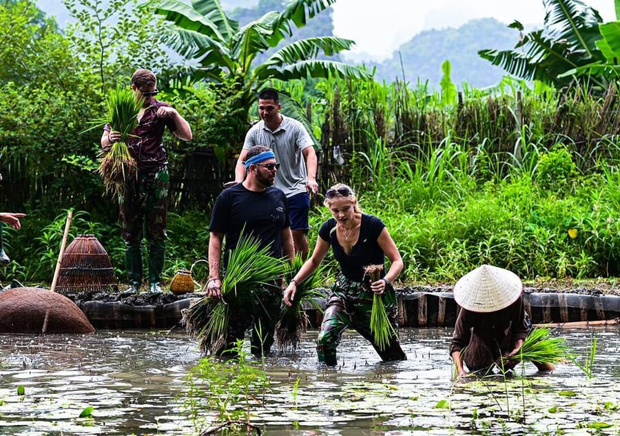 Ninh Binh: Rice planting and fishing by basket tour - A small farm experience near Tam Coc