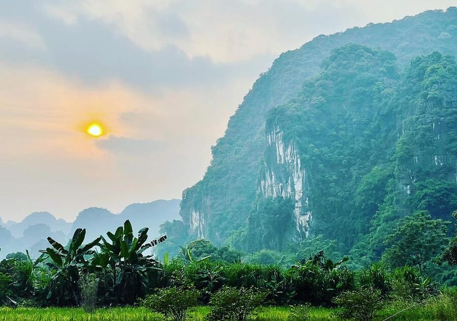 Ninh Binh: Rice planting and fishing by basket tour - Trying the nom in the fishing pond