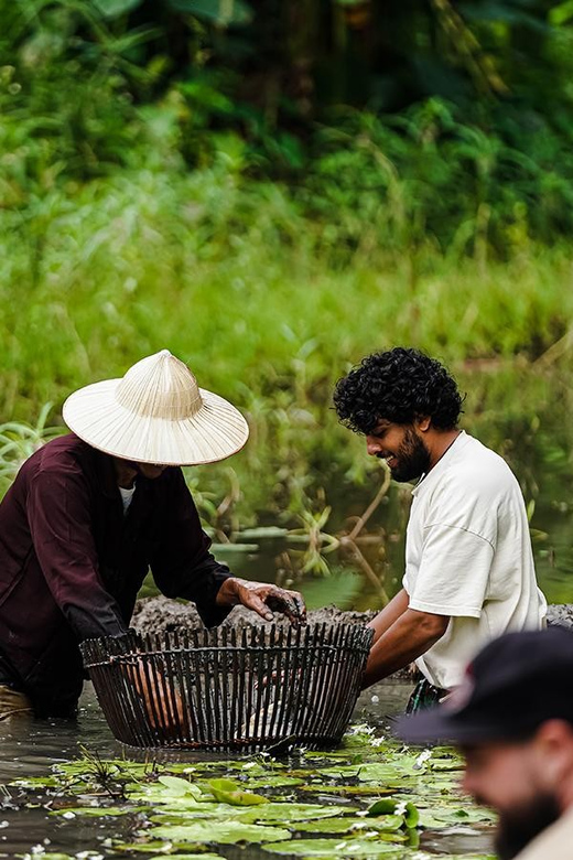 Ninh Binh: Rice planting and fishing by basket tour - Is $25 good value?