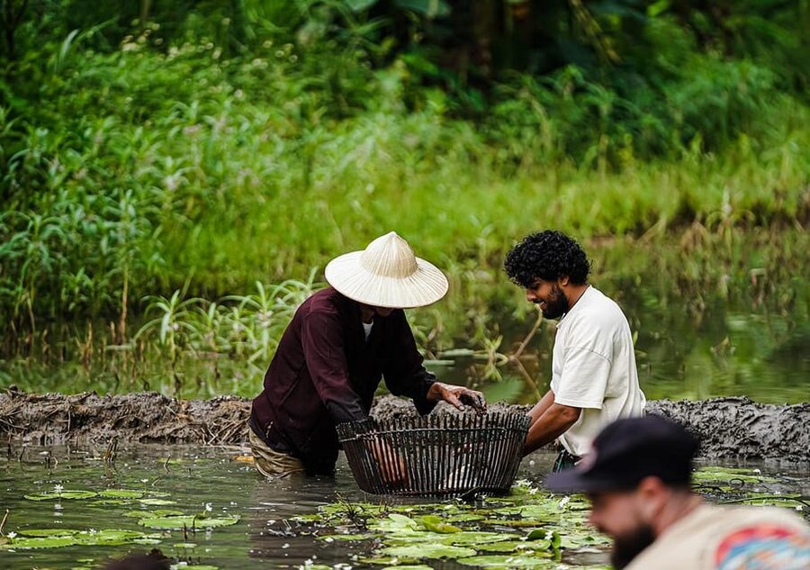 Ninh Binh: Rice planting and fishing by basket tour - Finding Buffalo Cave from Tam Coc
