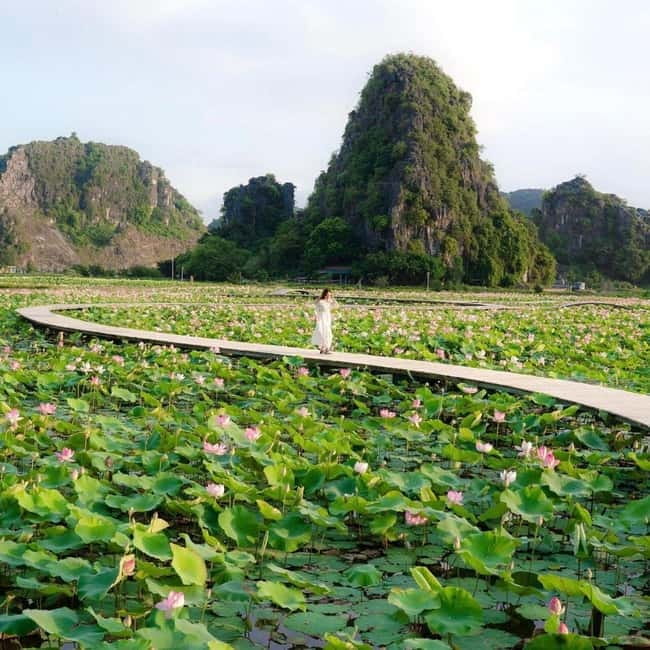 Ninh Binh Sunset Motorbike: Mua Cave, Coi Khe & Hoa Lu Town - Key points to know before you book