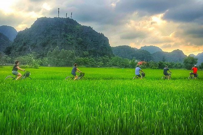 Ninh Binh Tour Bai Dinh Trang An Mua Cave Small Group Limousine - The guide can make or break the pace