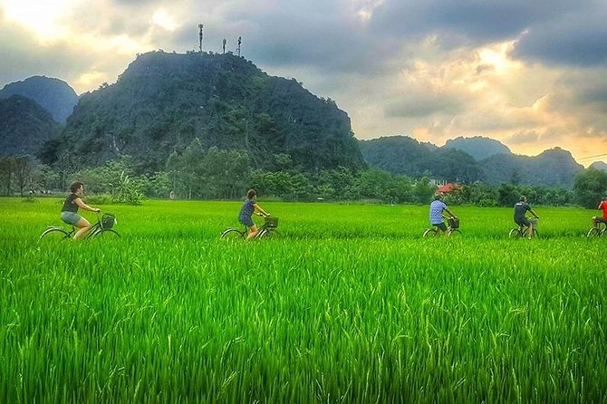Ninh Binh Tour: Deluxe & Small Group Tam Coc Hoa Lu - Boat, Biking, Buffet Lunch - Buffet lunch with a short but busy break