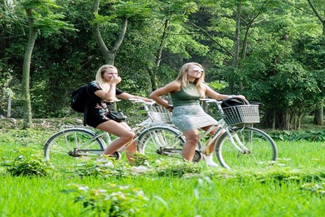 Ninh Binh Tour Hoa Lu Tam Coc Full Day: Biking,Boating,Tickets,Lunch, Limousine - The Tam Coc boat ride through three caves