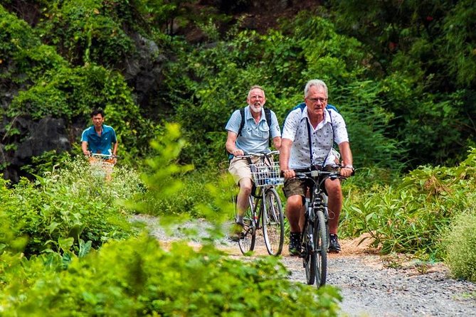 Ninh Binh Tour Hoa Lu Tam Coc Full Day: Biking,Boating,Tickets,Lunch, Limousine - The guide, group size, and pace