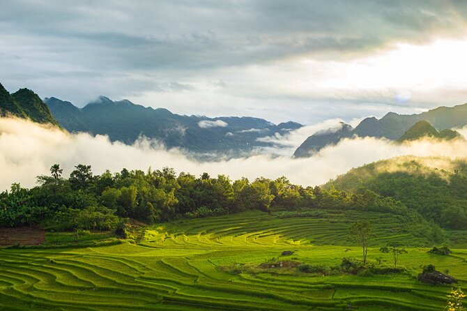 Noi Bai Airport transfer to Hotel or Vice versa - Communication is the service’s strongest point