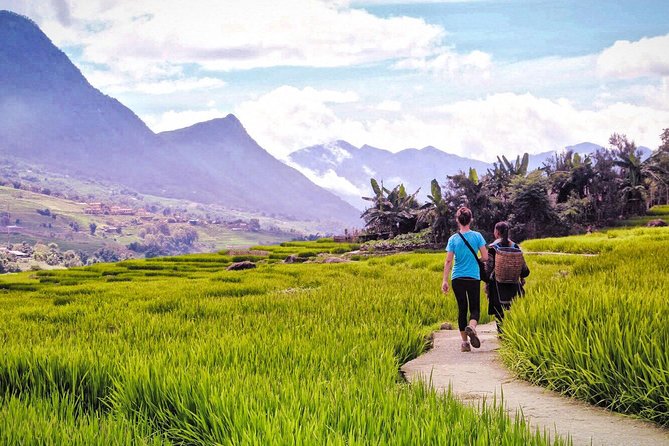Number one top rated ethical cultural trekking and homestay by ETHOS - Price, meals, and what you receive