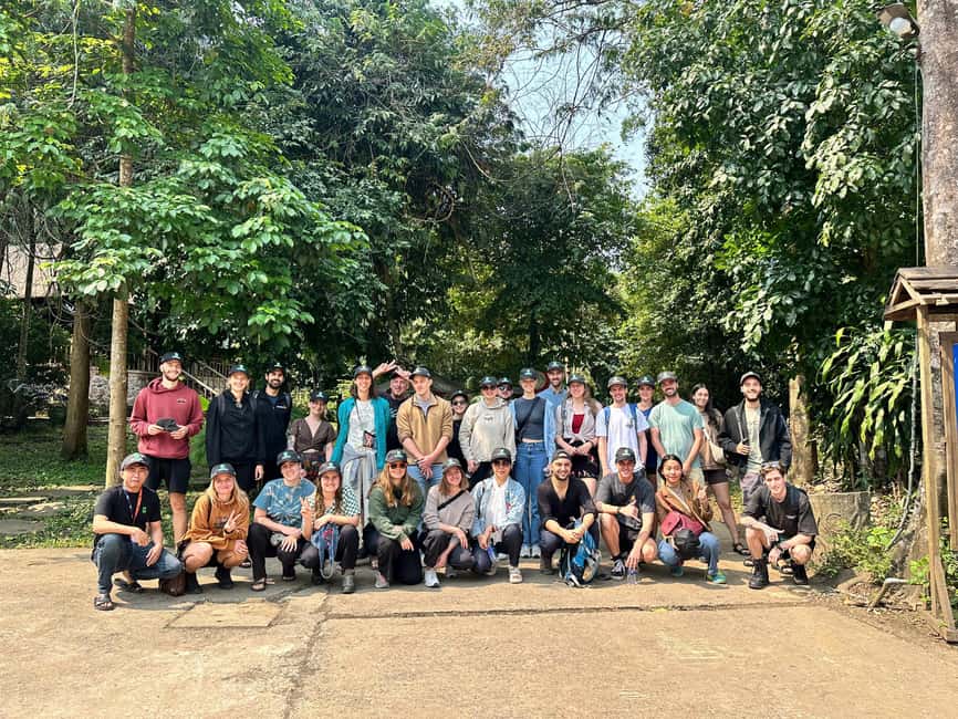 Phong Nha National Park: Paradise Cave Half-Day Tour - The 1.6-kilometer buggy ride through the forest