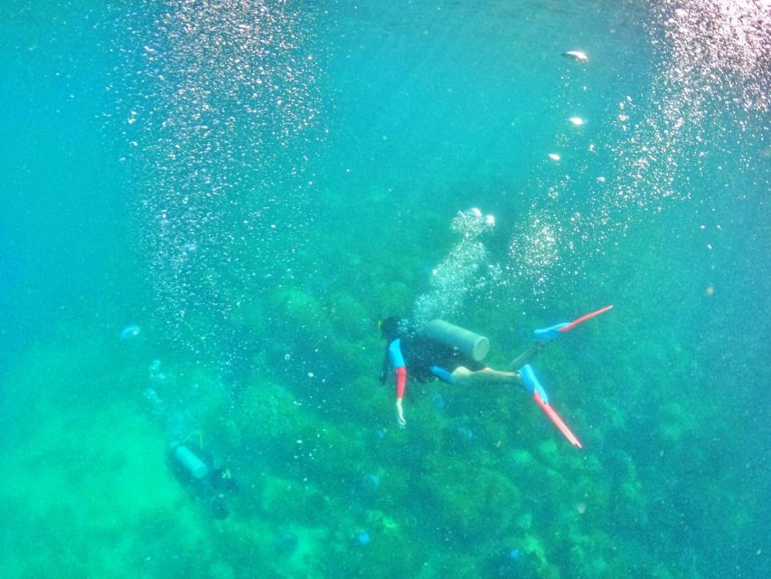 Phu Quoc: Scuba Diving Experience for All Levels - Key details before you book