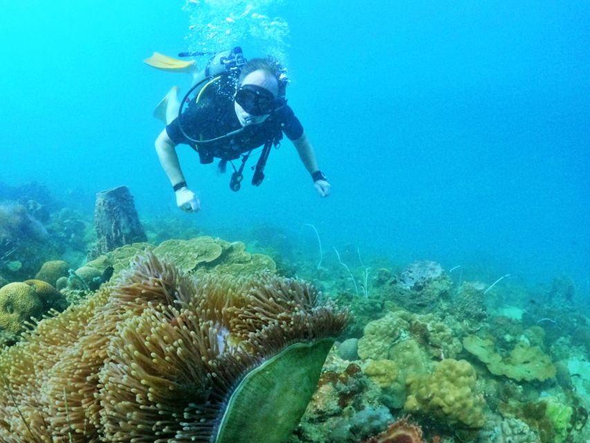 Phu Quoc: Scuba Diving Experience for All Levels - 11 a.m. to noon, lunch on the boat