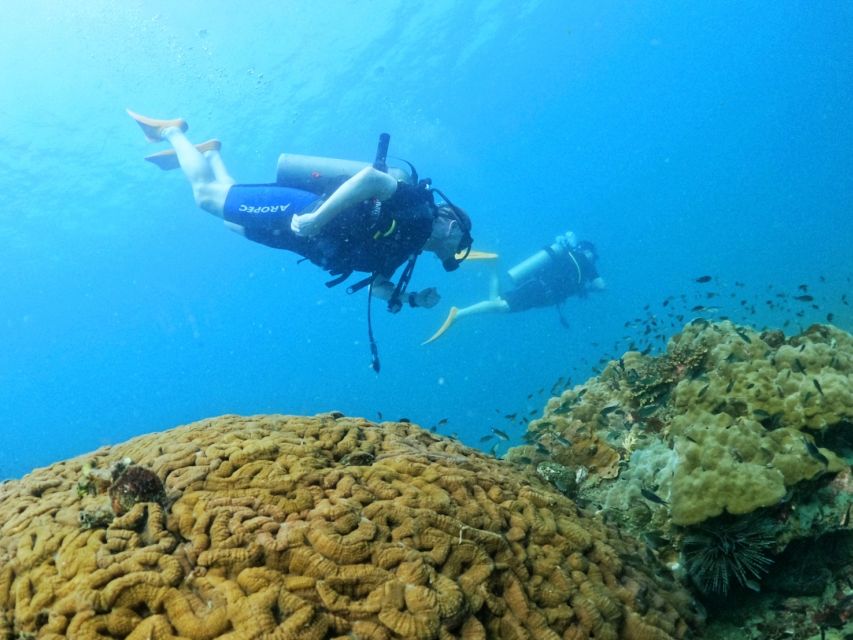 Phu Quoc: Scuba Diving Experience for All Levels - 1 p.m., the second site and a better chance to relax