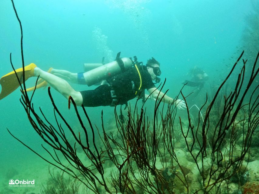 Phu Quoc: Scuba Diving Experience for All Levels - Who should book this Phu Quoc outing?