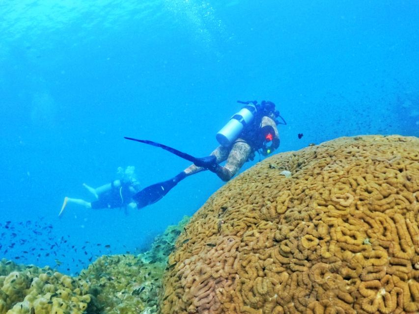 Phu Quoc: Scuba Diving Experience for All Levels - Practical ways to make the day better