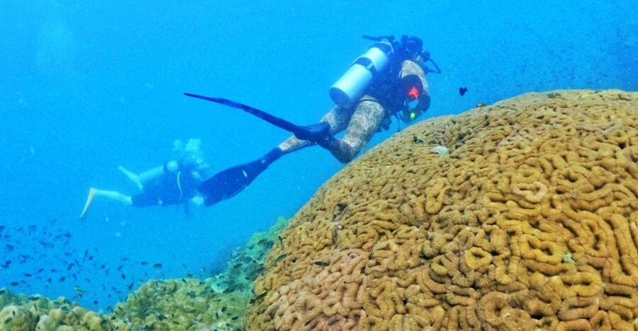 Phu Quoc: Scuba Diving Experience for All Levels - 7:30 to 8:30 a.m., pickup and the ride to the pier