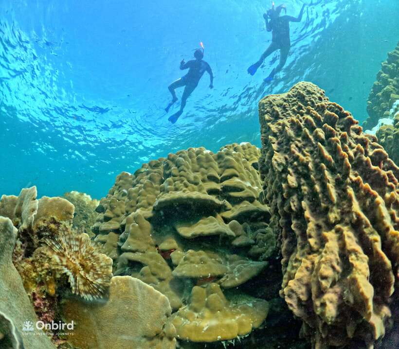 Phu Quoc: Speed Boat Tour 4 Islands - 2 Reefs Snorkeling - Four islands without a forced shopping stop