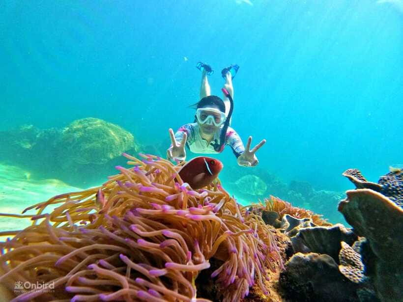 Phu Quoc: Speed Boat Tour 4 Islands - 2 Reefs Snorkeling - Equipment, comfort, and safety
