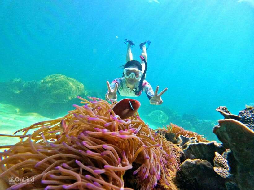 Phu Quoc: Speed Boat Tour 4 Islands - 2 Reefs Snorkeling - The shallow-water start is more useful than it sounds