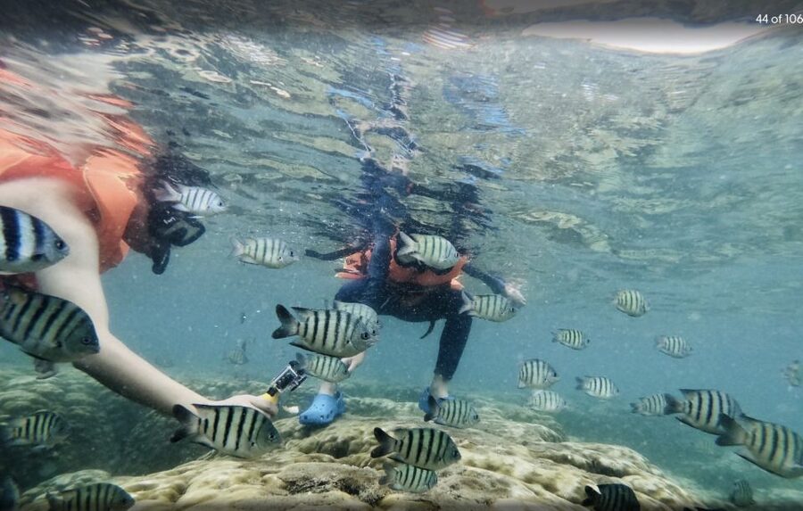 Phu Quoc: Speedboat Tour of 4 Islands with Snorkeling & BBQ - May Rut Ngoai or Gham Ghi for Sand and Swimming