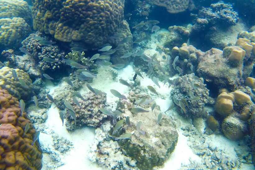 PHU QUOC TRIP 2: 2 ISLANDS BY BOAT - Guides, crew, and the human side of the trip
