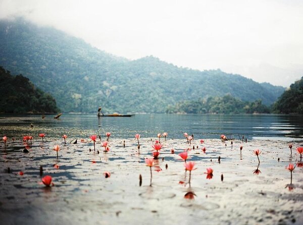 Private Car and Tour Guide Exploring Northern Vietnam - Key points to know before booking