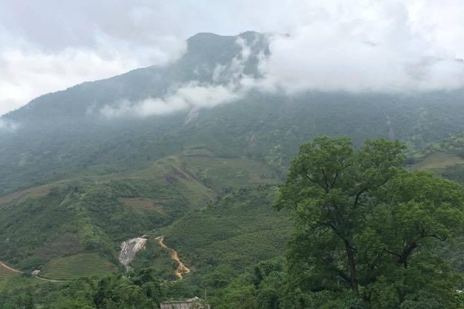 Private Car and Tour Guide Exploring Northern Vietnam - Bamboo forests and Phia Oac Mountain