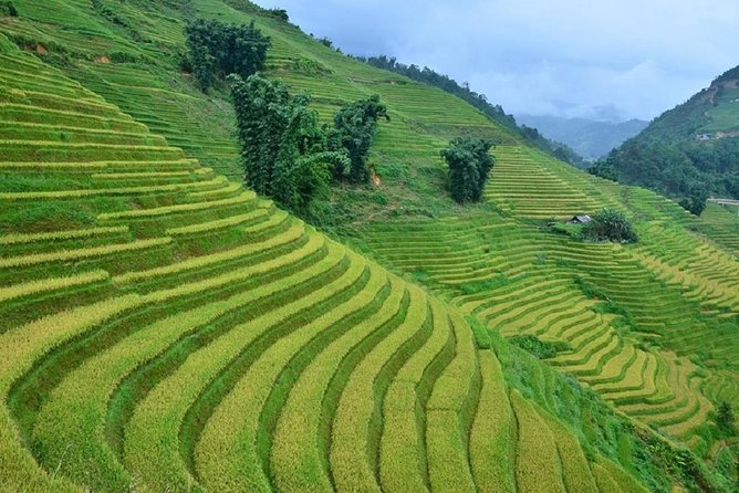 Private Car and Tour Guide Exploring Northern Vietnam - Sapa, Fansipan, and Moana View