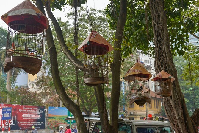 Private Hanoi Half-Day Tour: Train Street and Must Visit Places - Opera House, Long Bien Bridge, and quick city views