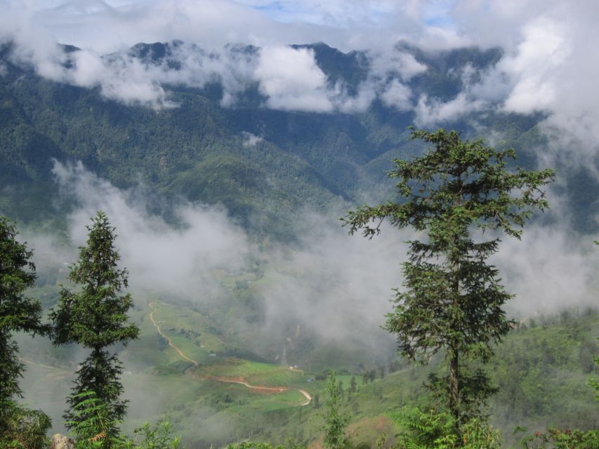 Private Hoang Lien National Park & Tribal Village Trek - Beginning the 10-kilometer bamboo forest trail
