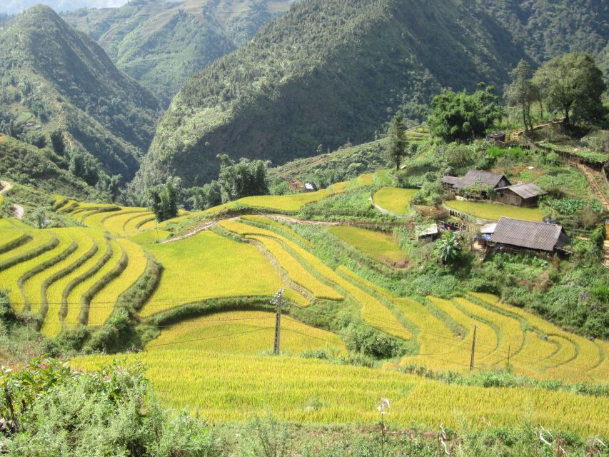 Private Hoang Lien National Park & Tribal Village Trek - Sin Chai and the Black Hmong village visit