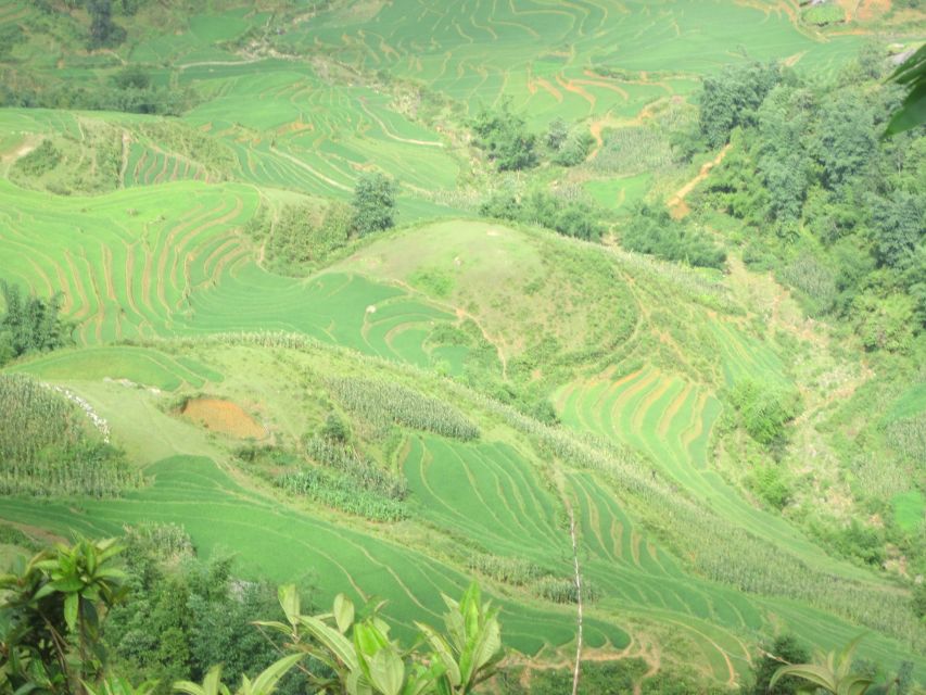 Private Hoang Lien National Park & Tribal Village Trek - What the private format changes