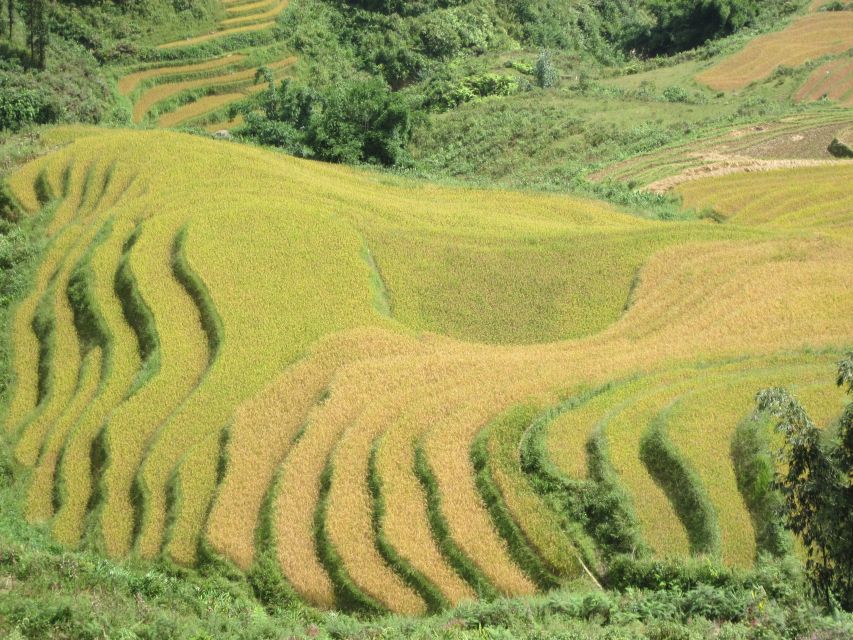 Private Hoang Lien National Park & Tribal Village Trek - Weather, clothing, and what to carry