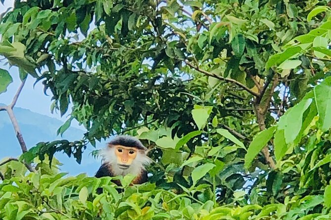 Private Jeep tour Monkey Mountains -Son Tra and Marble by SUV car - Why this short tour works in Da Nang