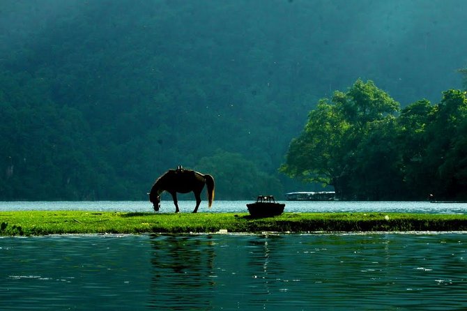 Private transfers HALONG <=> SAPA One Way (Free Hotel Pickup) - What the ride itself should feel like
