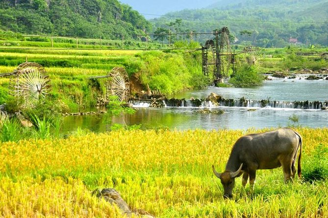 Private transfers Hanoi <=> Puluong 1 Way (Free Hotel Pickup) - What the 180-kilometer route feels like