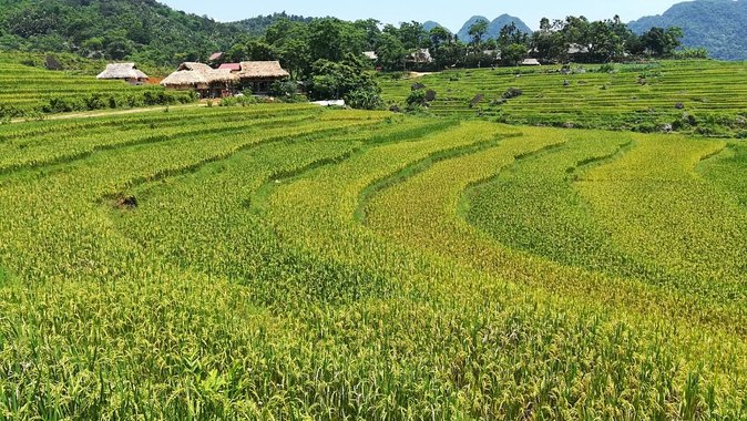 Private transfers Hanoi <=> Puluong 1 Way (Free Hotel Pickup) - Stops, views, and the limits of the itinerary